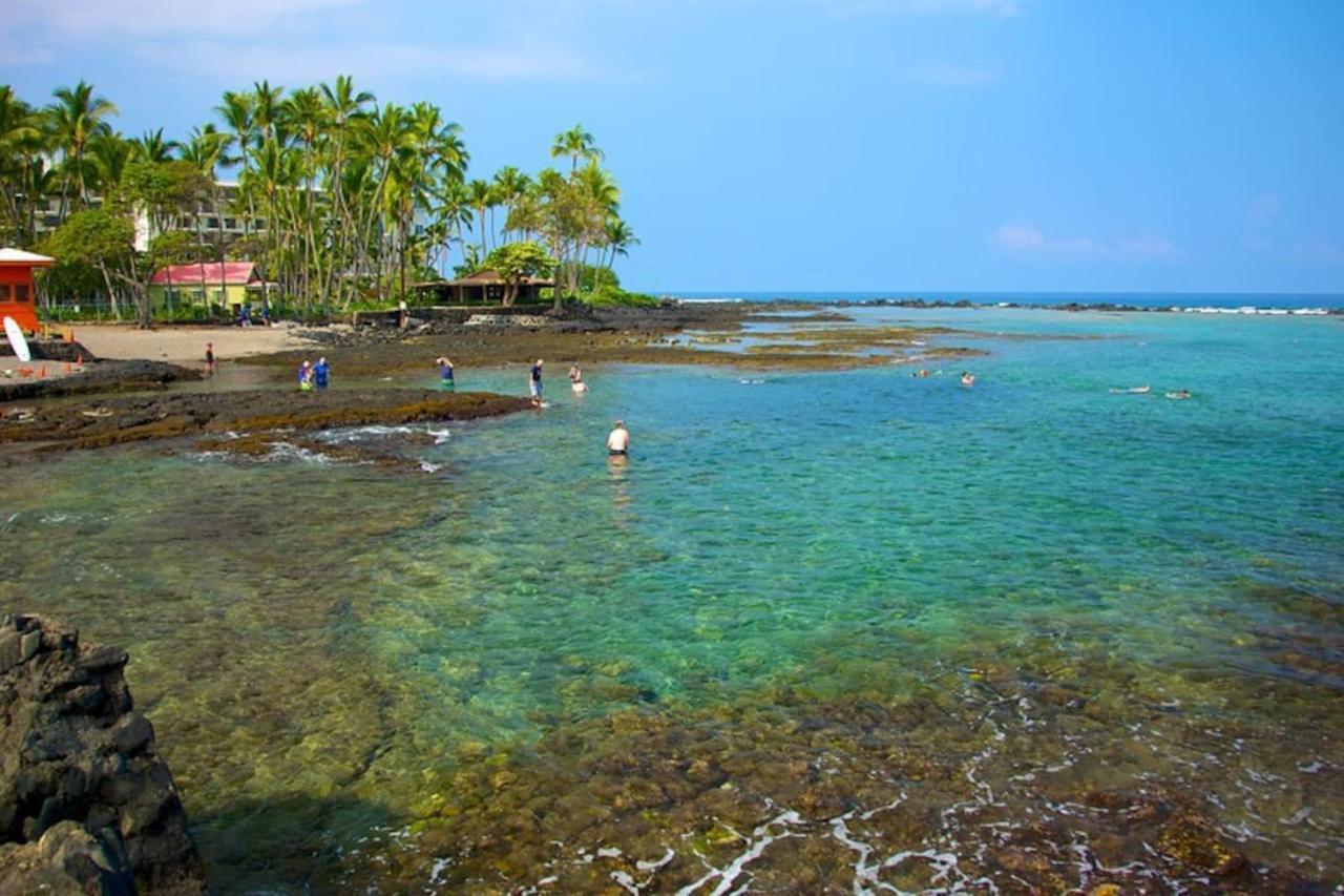The Cozy Big Studio -30 Days Kailua-Kona Exteriér fotografie